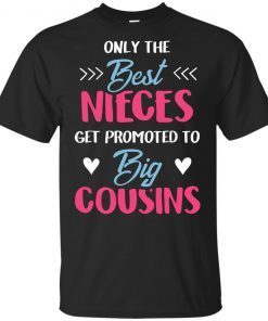 Cute Only The Best Nieces Become Big Cousins Youth Kids T-Shirt