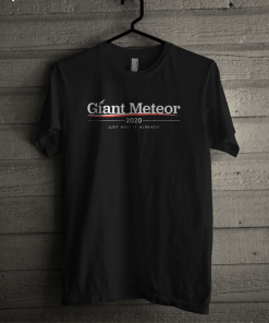 Giant Meteor 2020 just end it already T-shirt