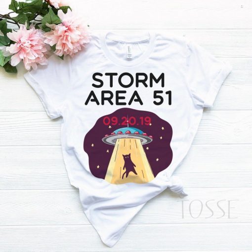 Storm Area 51 Unisex Heavy Cotton Tee, alien shirt,area 51 raid shirt, September 20th 2019, Nevada, Trendy Shirt, UFO t-shirt, UFO cat shirt