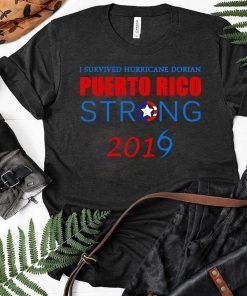 I Survived Hurricane Dorian puerto rico strong 2019 T-Shirt