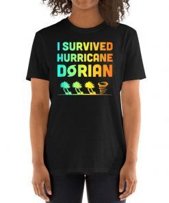 Hurricane Detroy Shirt Dorian I Survived Hurricane Dorian Tee Shirt