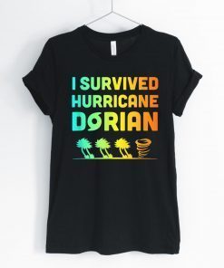 Hurricane Detroy Shirt Dorian I Survived Hurricane Dorian Tee Shirt