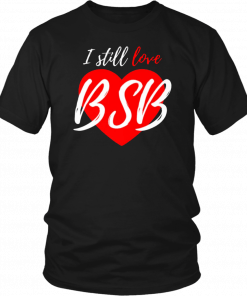 Cute 90s Music Fan, Boy Band Backstreet Back I Love BSB Premium T-Shirts