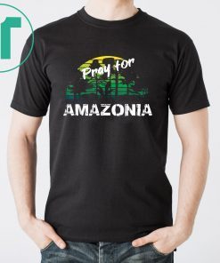 Pray For Amazonia T-Shirt Gift For Environmentalists Tee Shirts