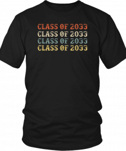 Class Of 2033 Grow With Me Pre-K Graduate Vintage T-Shirt