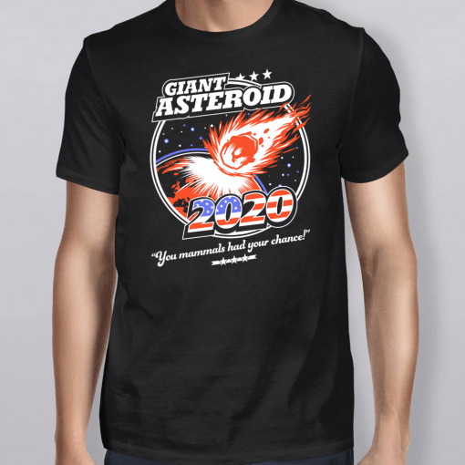 Giant Asteroid 2020 Unisex T-Shirt