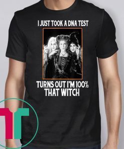 I Just Took A DNA Test Turns Out I'm 100% That Witch Mens T-shirt