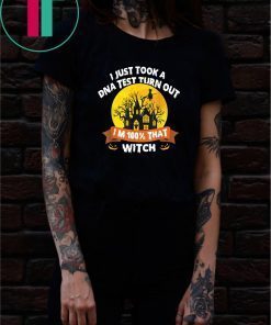 I Just Took A Dna Test Turns Out I'm 100 Percent That Witch Unisex Funny T-Shirts