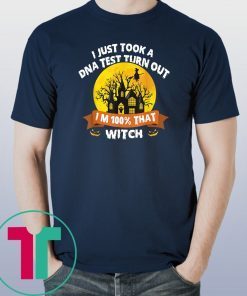 I Just Took A Dna Test Turns Out I'm 100 Percent That Witch Unisex Funny T-Shirts