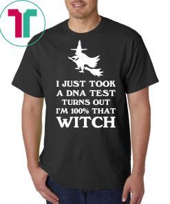 I Just Took a DNA Test Turns Out Im 100 That Witch Halloween Unisex Gift T-Shirt