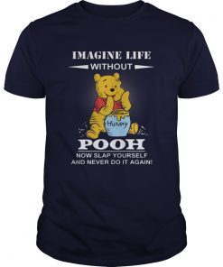 Imagine life without Pooh now slap yourself and never do it again shirts