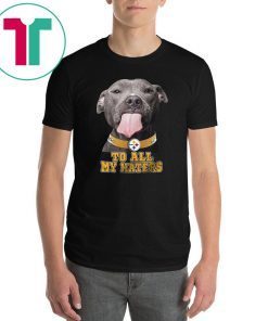 Pitbull steelers to all my haters shirt