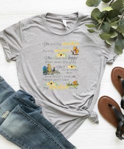 Pooh and piglet you are my sunshine my only sunshine shirt