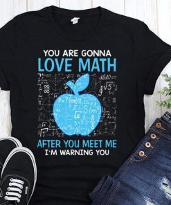 You are gonna love math after you meet me I’m warning you shirt and mens v-neck T-Shirt