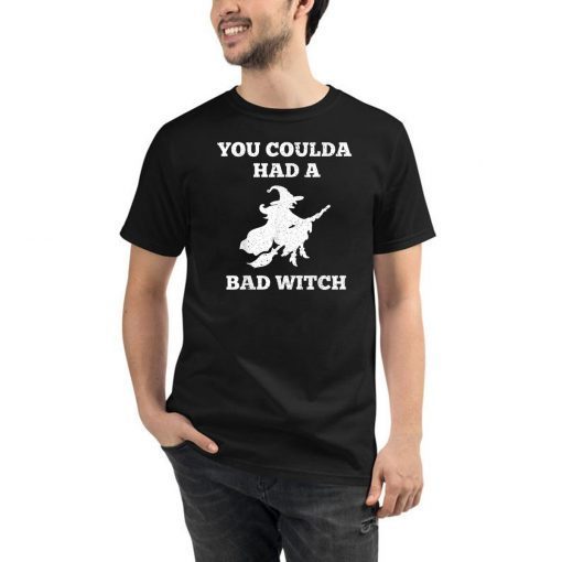 Funny Halloween Witch Shirt You Coulda Had A Bad Witch Gift T-Shirt