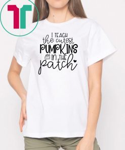 I teach the cutest pumpkins in the patch shirt