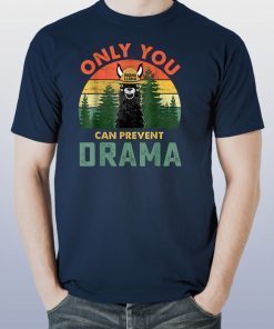 Vitage only you can prevent drama llama shirt