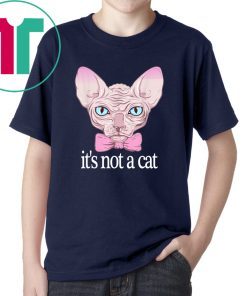 Friends Quotes Shirt It’s Not a Cat Rachel Sphynx cat Shirt