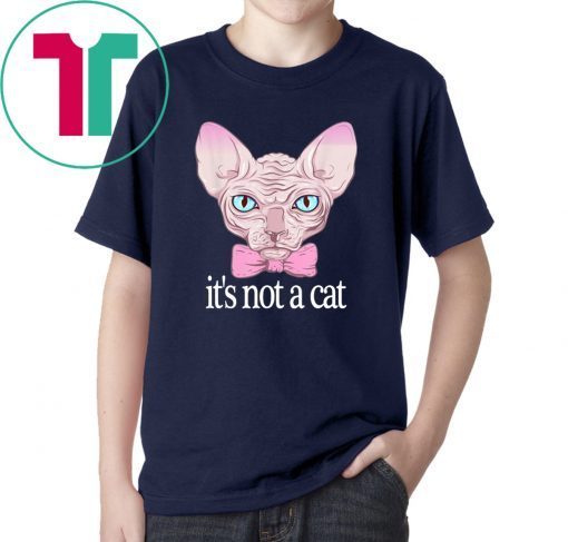 Friends Quotes Shirt It’s Not a Cat Rachel Sphynx cat Shirt