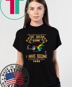 Pink Floyd I have become comfortably numb shirt