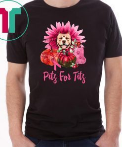 Pitbull pits for tits gerbera pumpkin breast cancer awareness T-Shirt
