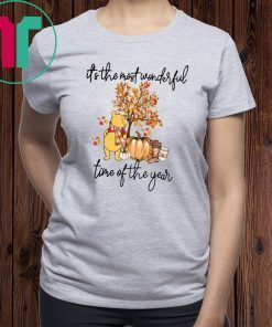 Pooh pumpkin it's the most wonderful time of the year Shirt