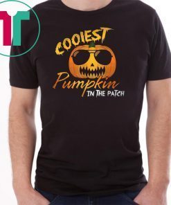 Vintage Coolest Pumpkin In the Patch Halloween Costume T-Shirt