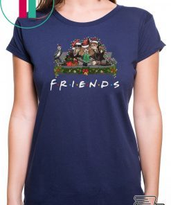 Harry Potter Hermione And Ron Weasley Christmas Friends T-Shirt