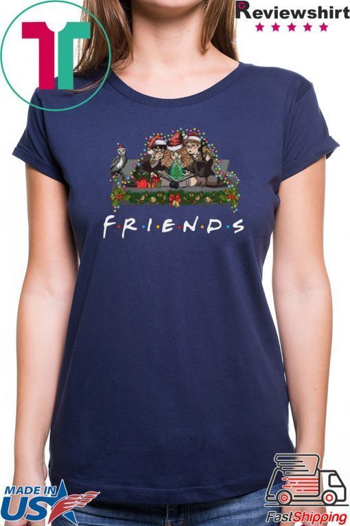 Harry Potter Hermione And Ron Weasley Christmas Friends T-Shirt