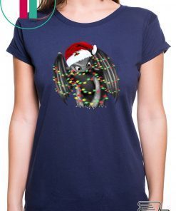 Stitch Christmas light shirt