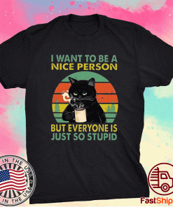 I Want to Be A Nice Person Tee Shirt