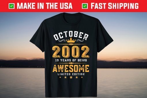 Awesome Since October 2002 19th Birthday 19 Years Old Gift Shirt