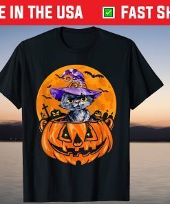 Black Cat With Pumpkin Halloween Costume Cat Lovers Tee Shirt