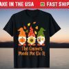 Fall Gnomes With Pumpkin, Sunflower, Coffee, Autumn Gnomes Tee Shirt