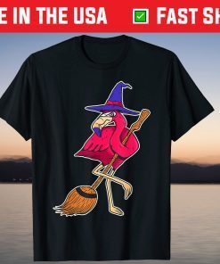 Halloween Flamingo Witch Scary Party Broom T-Shirt