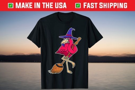 Halloween Flamingo Witch Scary Party Broom T-Shirt