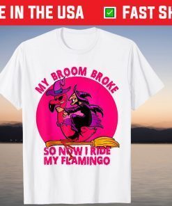 My Broom Broke So Now I Ride My Flamingo Halloween Witch Tee Shirts