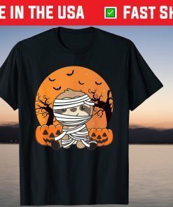 Sloth In Pumpkin Sloths Happy Halloween Animal T-Shirt