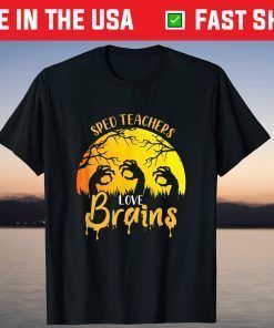 Sped Teachers Love Brains Special Education Halloween Unisex Shirt