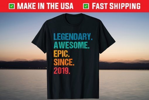 Vintage Legendary Awesome Epic Since 2019 Birthday Tee Shirt