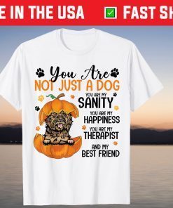 You Are Not Just A Dog Cairn Terrier Thanksgiving T-Shirt