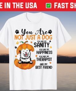 You Are Not Just A Dog Finnish Lapphund Thanksgiving T-Shirt