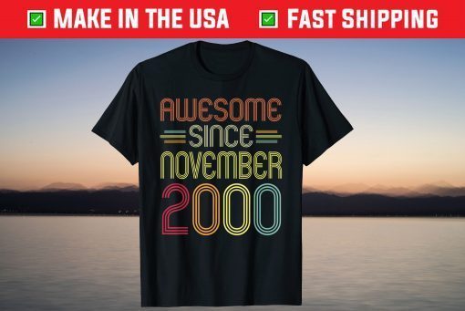 Awesome Since November 2000 21st Birthday 21 Years Old T-Shirt