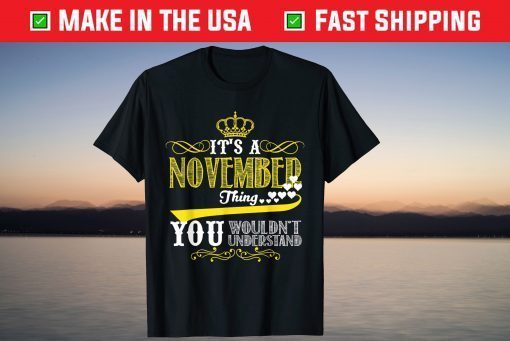 Born In November It's A November Thing Birthday T-Shirt