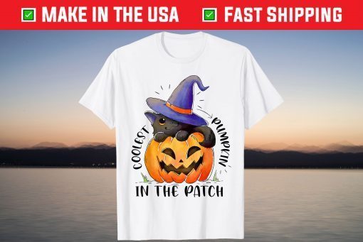 Coolest Cat Witch Pumpkin In The Patch Shirts Jack O Lantern Shirt