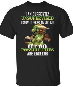 Dragon I Am Currently Unsupervised I Know It Freaks Gift Shirt