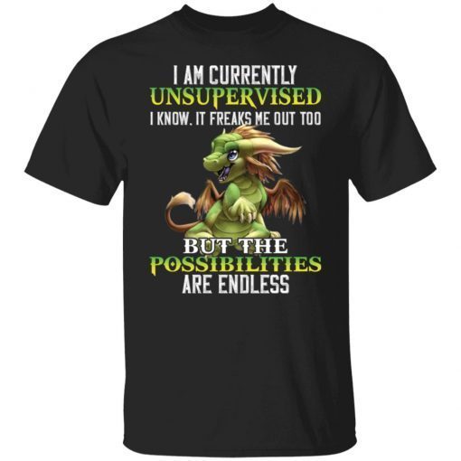 Dragon I Am Currently Unsupervised I Know It Freaks Gift Shirt