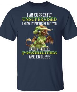 Dragon I Am Currently Unsupervised I Know It Freaks Gift Shirt