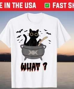 Halloween Scary Black Cat Lover Witch Cat Person Outfit T-Shirt