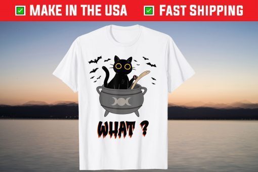 Halloween Scary Black Cat Lover Witch Cat Person Outfit T-Shirt